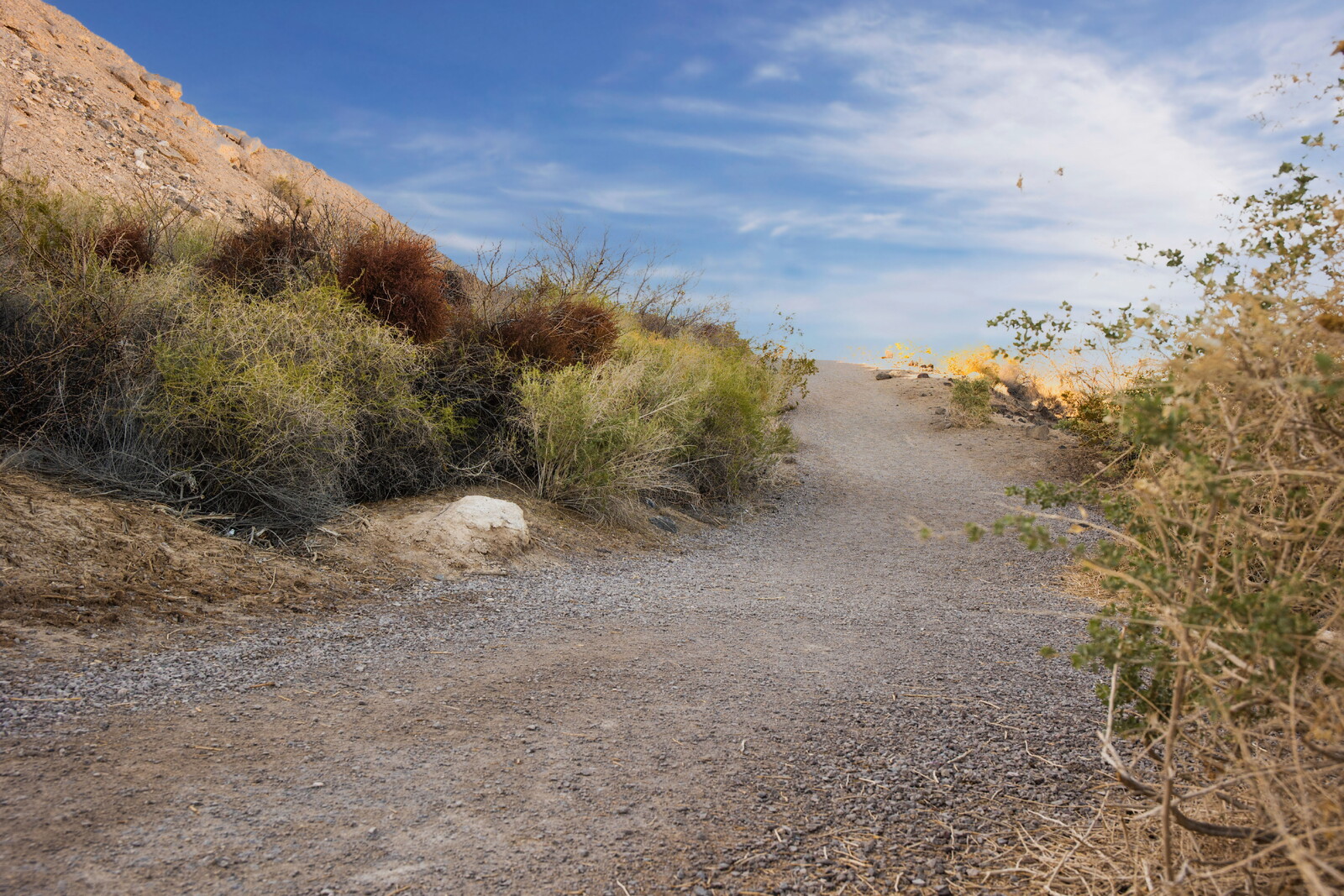 Trailblazing Women: Breaking Barriers & Finding Their Path to Success