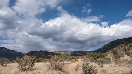 Bear Canyon Arroyo Trail, north end