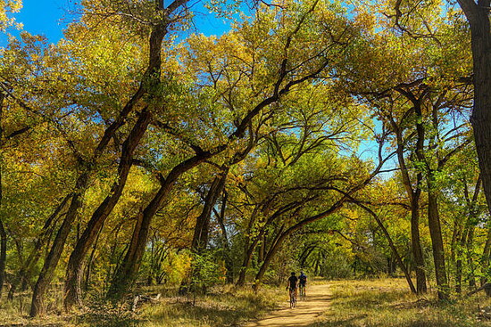 Paseo del Bosque Trail 