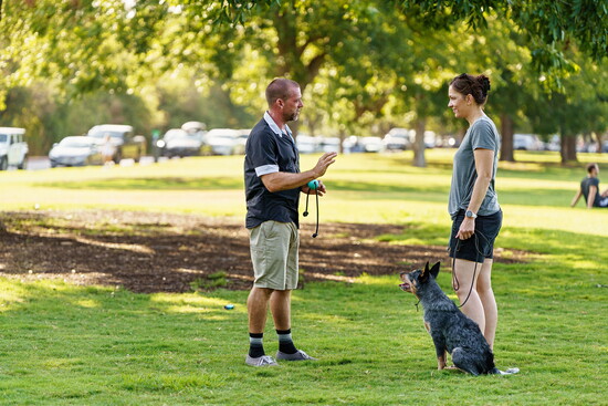 Donovan working with a client.