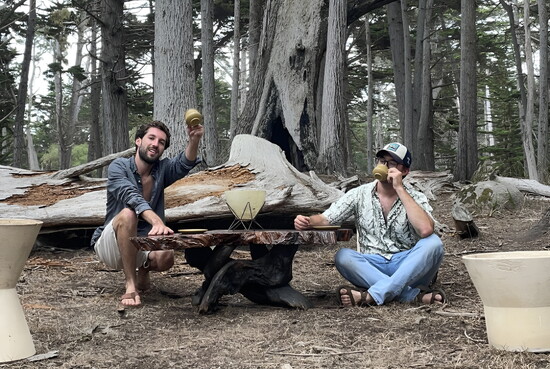 Antiques in the wild