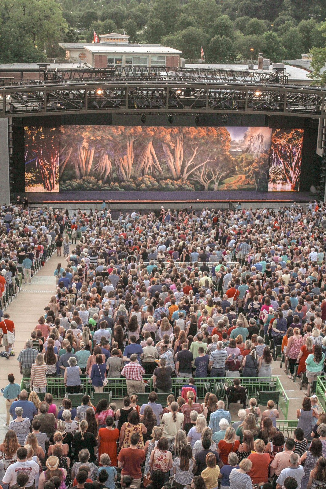 Trees Return To the Muny