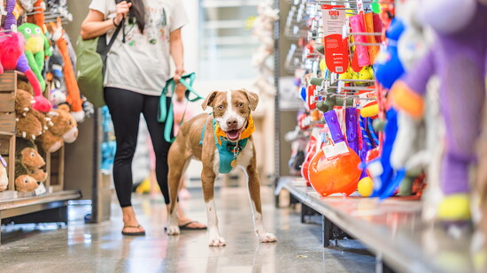 Credit to Keri Nakahasi