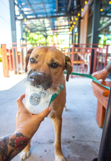 Credit to Alyssa O'Flinn