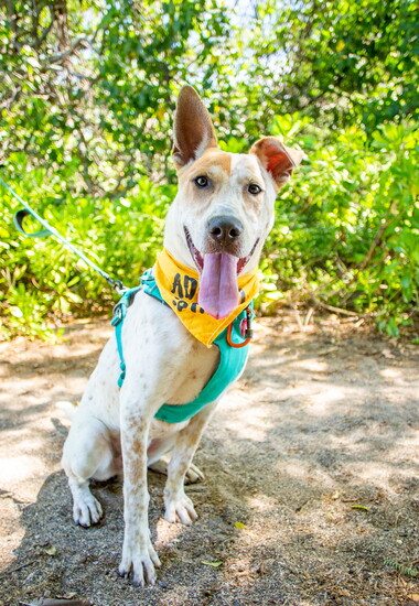 Credit to Alyssa O'Flinn