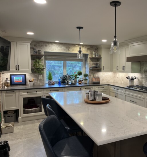 The Innovative Dog Crate Environment in Kitchen 