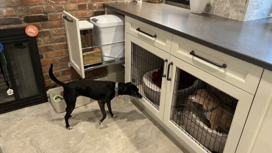 The Innovative Dog Crate Environment with dog food storage/pull out