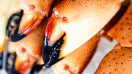 For many Texans, their first experience eating Florida stone crab was at Truluck's.