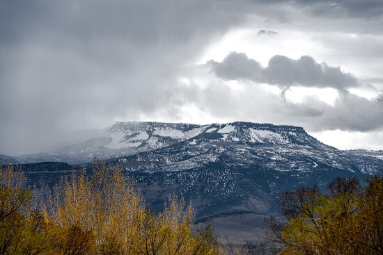 Grand Mesa in Autumn