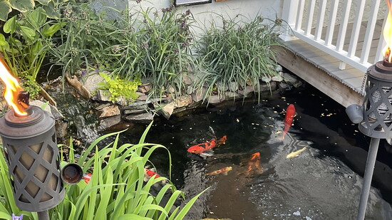 Harper Propeties - Water Features