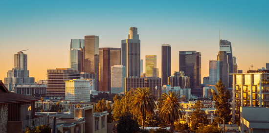 Jarita Security Service offers a variety of services throughout LA