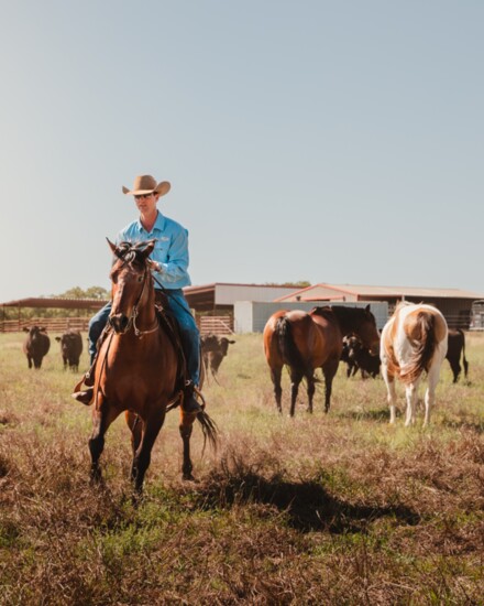 Stephen Kirkland checks on the herd on horseback.