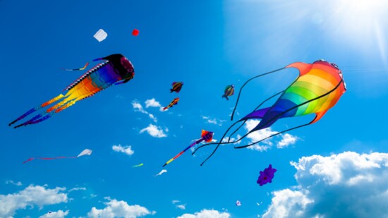 Premier Kites