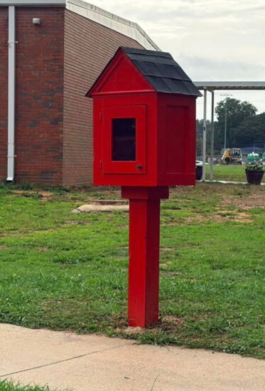 Little Free Libraries 