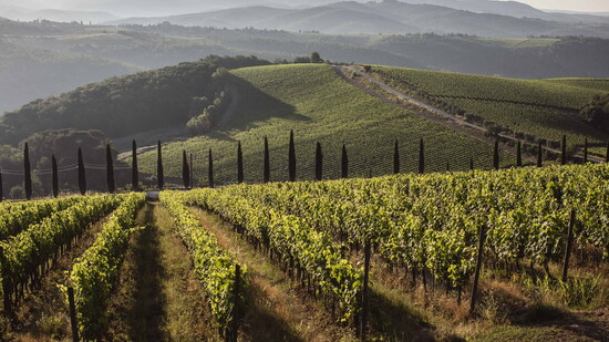 Featured image for Tuscany's Timeless Wine Retreat