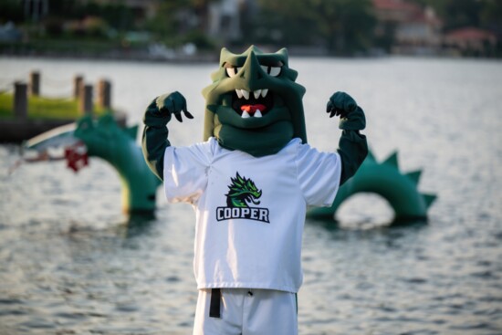 The school's dragon mascot was inspired by the serpent in Lake Woodlands Southshore Park. 