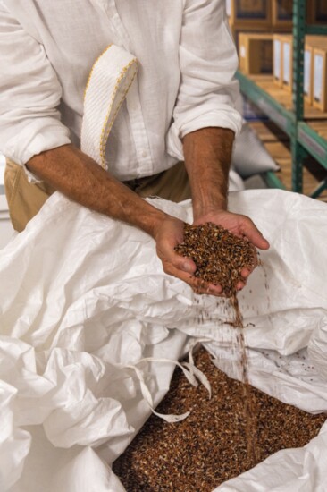 Wild red rice, traditionally rejected, is one of Wagner’s favorite products.