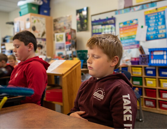 Photography by Stephanie Collins