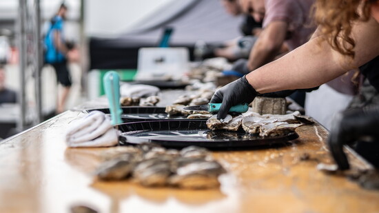Oyster Fest of Ole'