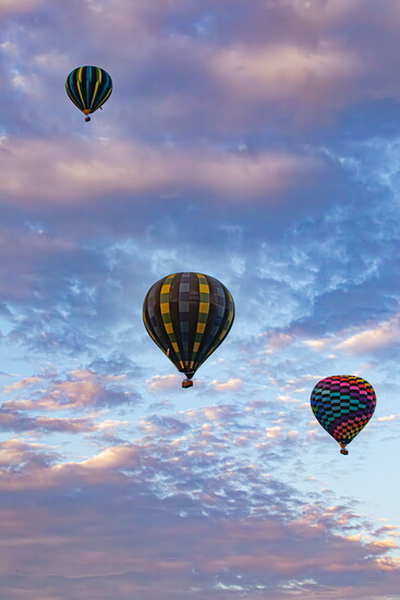 Thank you to the readers, neighbors, and creatives who continue to make Temecula City Lifestyle possible.