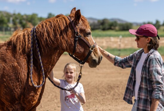 A horse's enormous heart generates an extra-large electromagnetic field that people can learn to detect. 