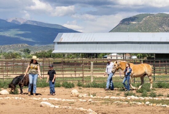 Bronco the pony and Goldie spend time in the paddock with two-legged friends.