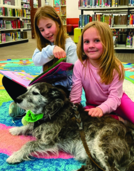 PAWS at the Library