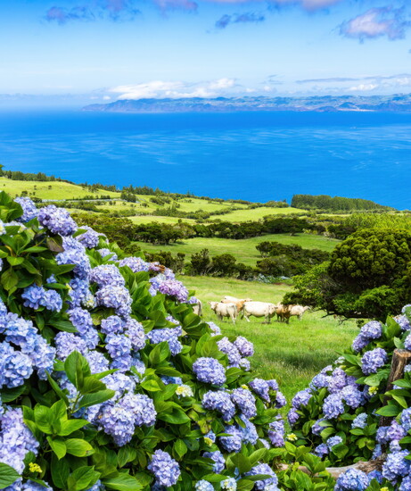 Azores