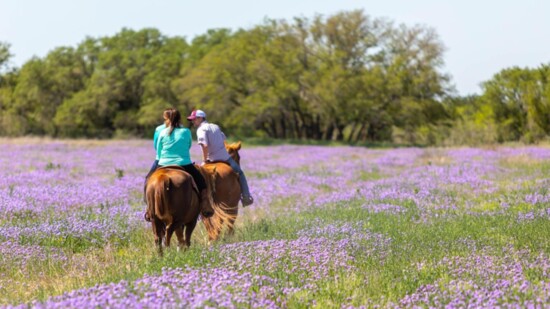 Trail rides through the beautiful Hill Country