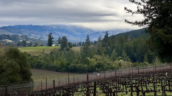 Anderson Valley
