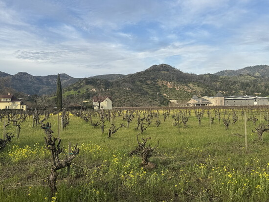 Vine Trail through Napa Valley starting in Calistoga