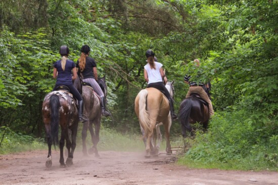 Horseback riding along Spring Creek Greenway with Cypress Trails Equestrian Center. 
