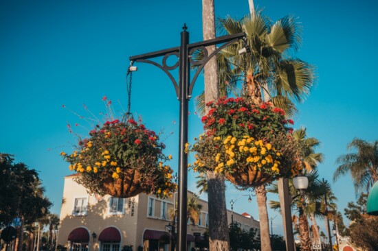 Hanging flower baskets adorn the historic district throughout downtown Venice.