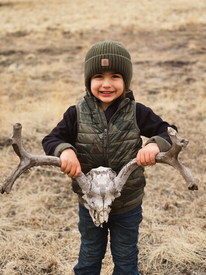 Shed Hunting