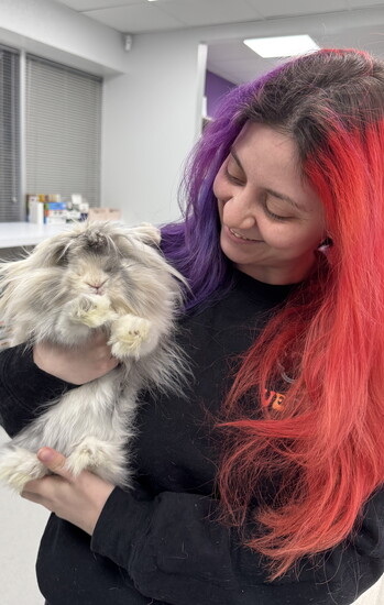 Brenna with Marvin Cilantro, the lionhead rabbit