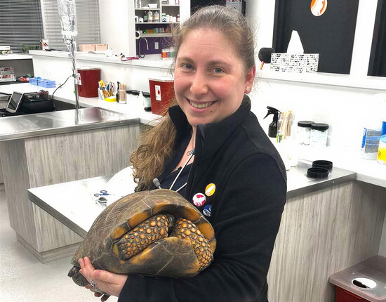 Dr. Rassin with Little Foot the Yellow Footed Tortoise