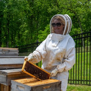 beekeeperverticaluse-300?v=1