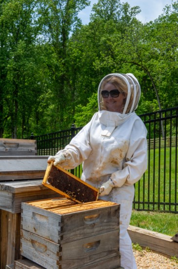 Sabrina's Bees Can Not only Pollinate but Provide 100 lbs. of Honey per Year