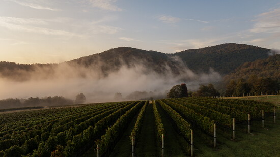 Early Mountain Vineyards. Photo courtesy of Early Mountain Vineyards