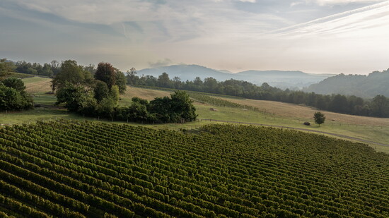 Early Mountain Vineyards. Photo courtesy of Early Mountain Vineyards