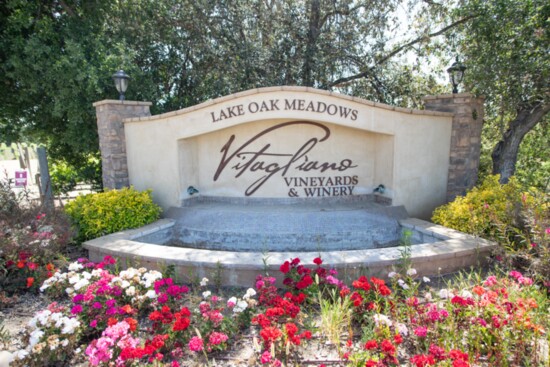 Vitagliano Vineyards and Winery blooms in the springtime sun.