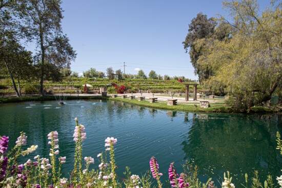 A breathtaking view of the natural beauty of the Temecula Valley.