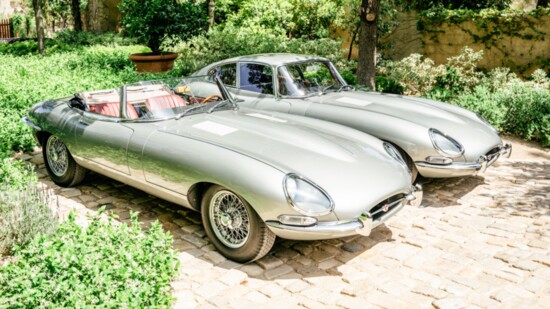 Vintage Jaguars