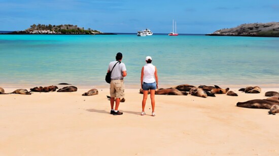 Pristine Beaches