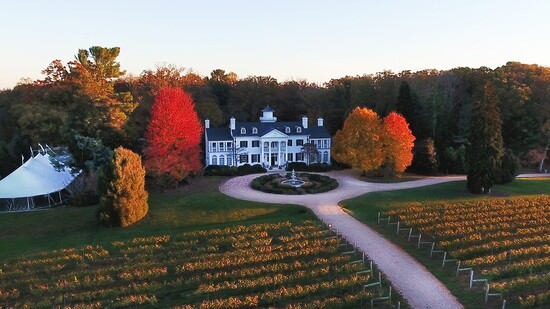 Keswick Vineyards. Photo Credit: Brian Schornberg