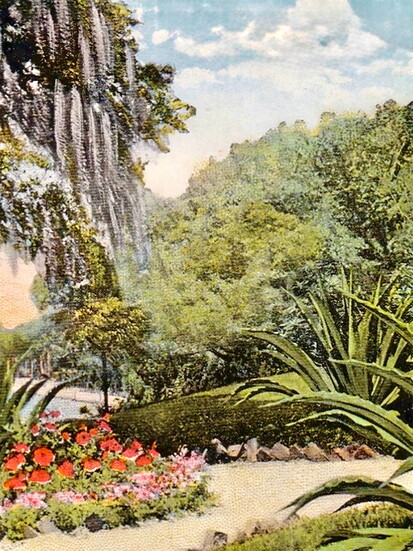 Historic Spanish Point postcard from 1915.