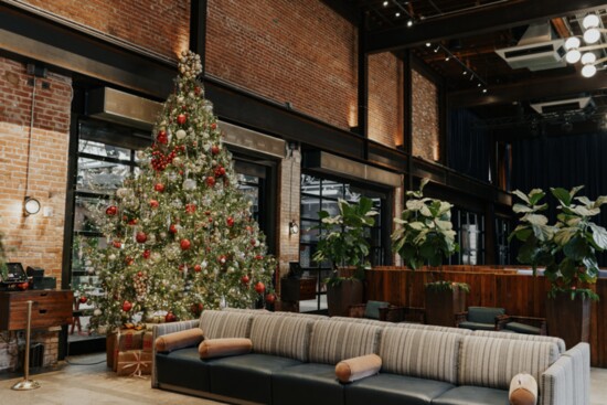 A huge Christmas trees adds warmth and cheer to one of the spaces in The Jones Assembly.