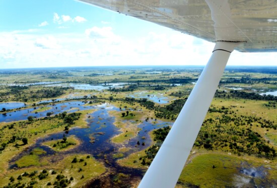 An aerial view of Okavango Delta