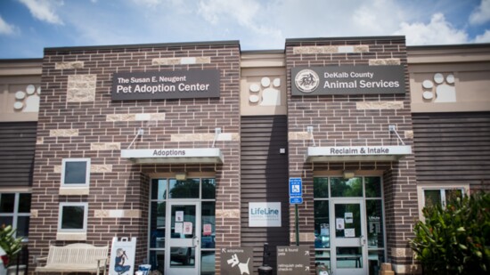 There are a number of ways to help at the animal shelter in Chamblee.
