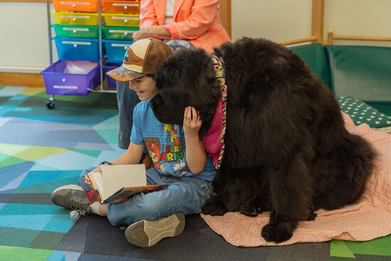 PAWS for Reading therapy dog, Alex is the ulti-mutt reading companion, bringing comfort and joy to a young reader at Windsor Library.